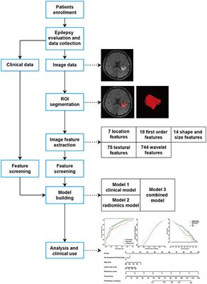 Radiomics Analysis for Predicting Epilepsy in Patients With Unruptured Brain Arteriovenous Malformations